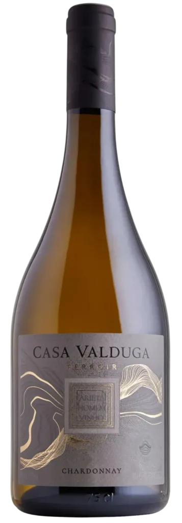 RECORTE-14-e1729261517803-357x1024