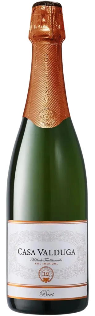 RECORTE-50-e1729262844305-309x1024