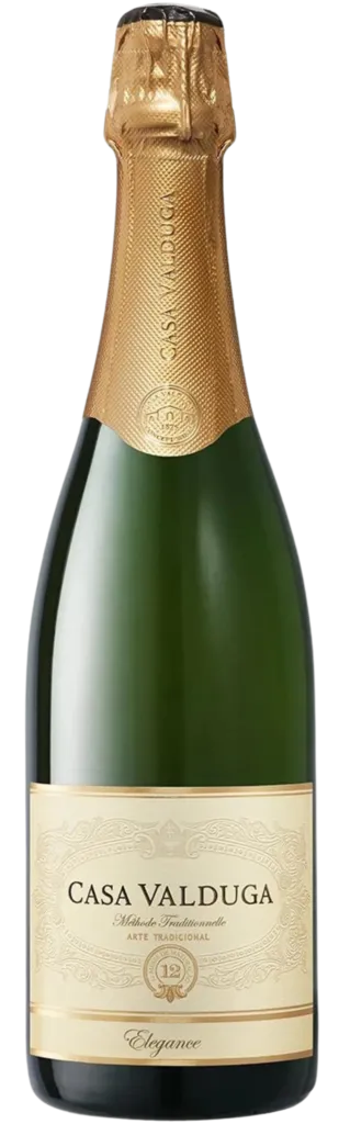 RECORTE-51-e1729262948711-309x1024