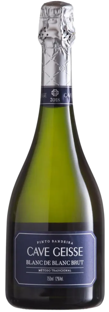 RECORTE-57-e1729263183226-357x1024