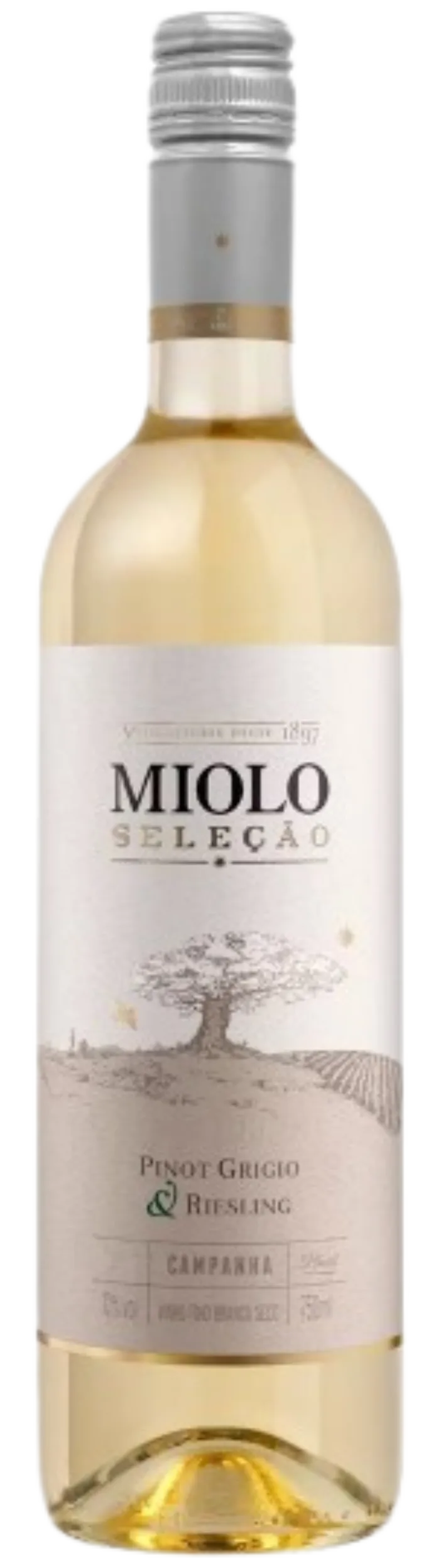 RECORTE-7-1-e1729261105217